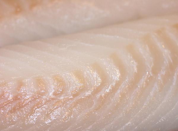Filete de pescado blanco, crudo.