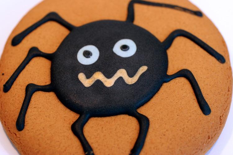 Galleta decorada con una araña de chocolate.