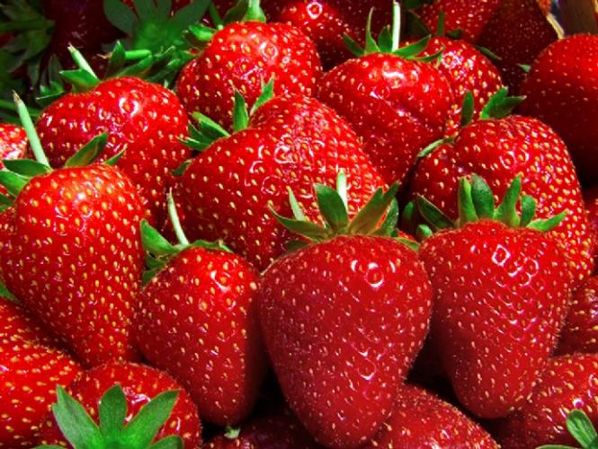 Fresas frescas.