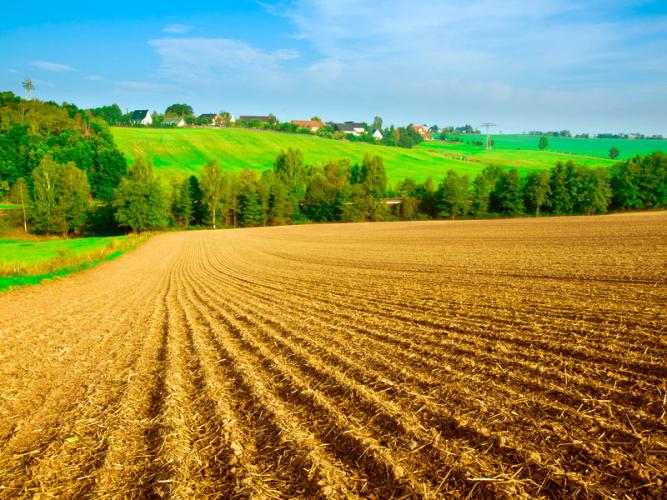 Campo de cultivo, Kansas.