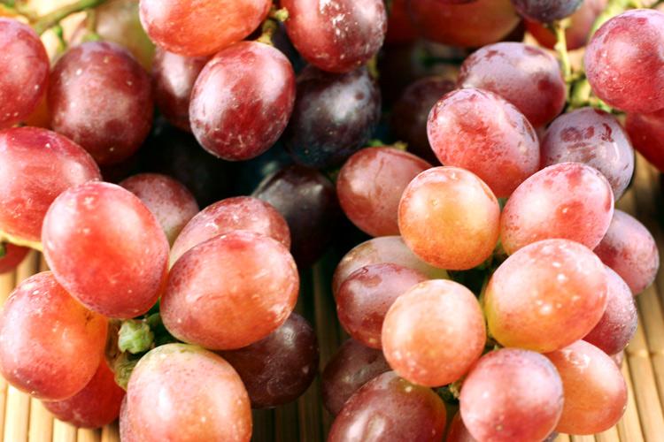 Uvas tintas.