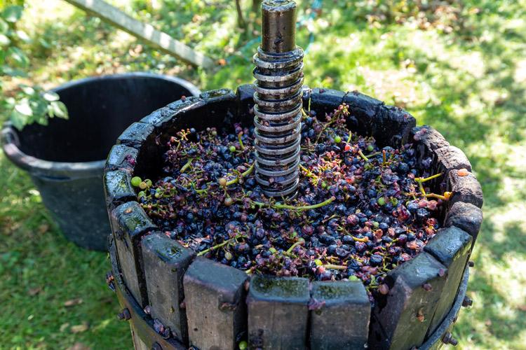 Prensa para uvas.