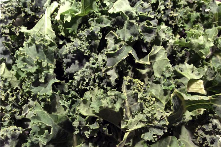 Col rizada, kale, cortada.