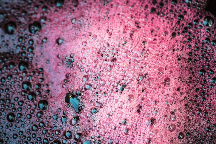 Mosto de uva tinta fermentando. Hay espuma en la superficie.