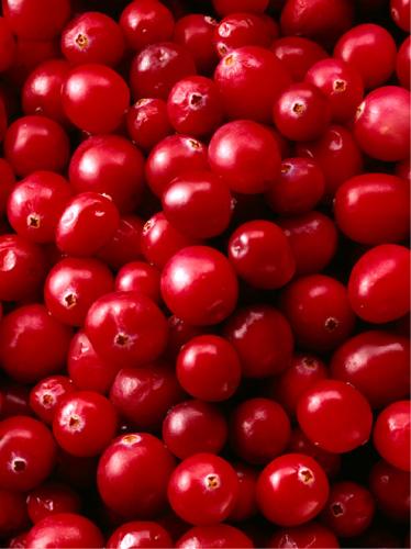 Arándanos ácidos, cranberries.