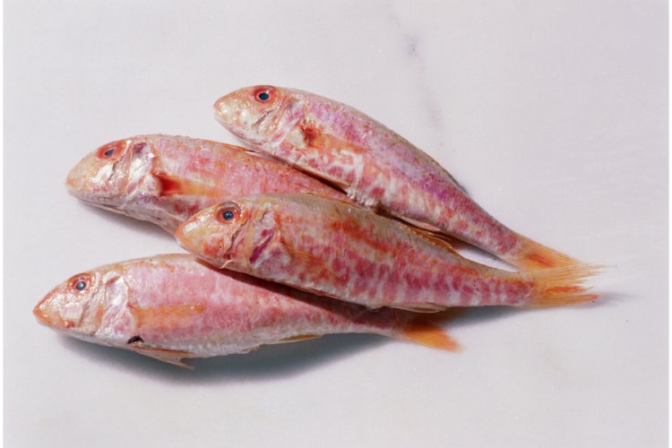 Salmonetes enteros.