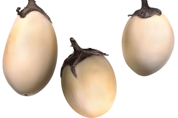 Berenjenas blancas globosas.