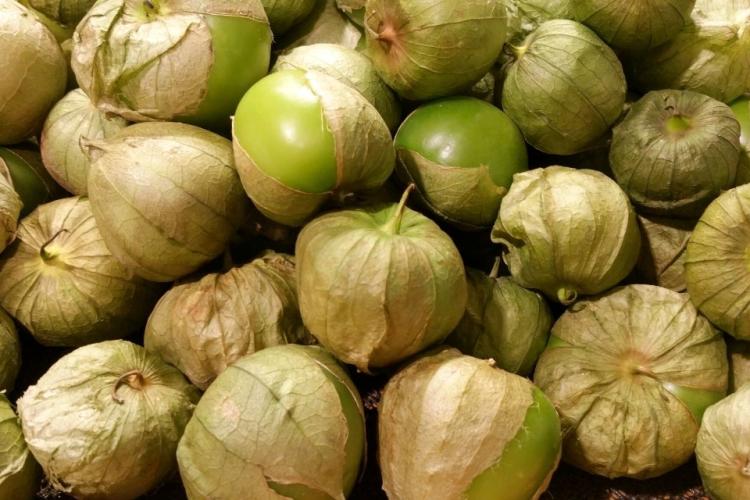 Tomatillos frescos.