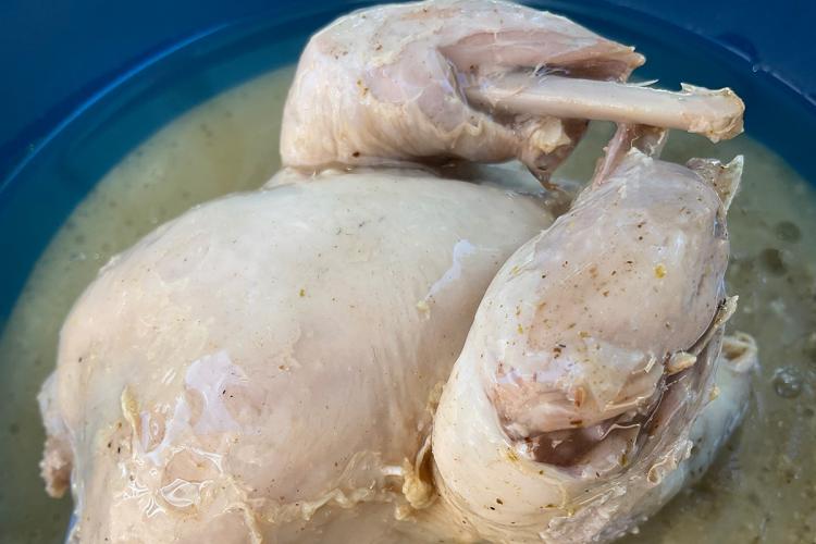 Perdiz escabechada con su líquido.