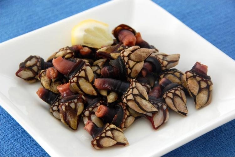 Un plato cuadrado con percebes cocidos, acompañadose de un cuarto de limón.