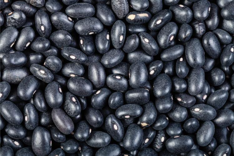 Detalle de alubias negras.