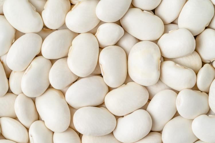 Detalle de alubias blancas.