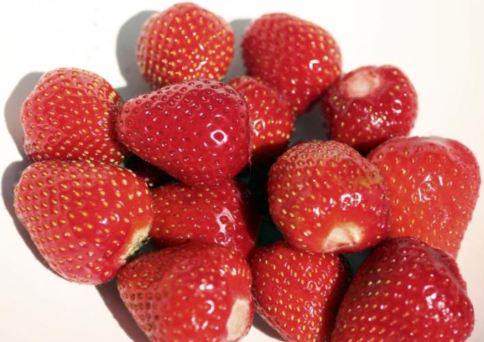 Fresas recién cogidas, sin hojas.