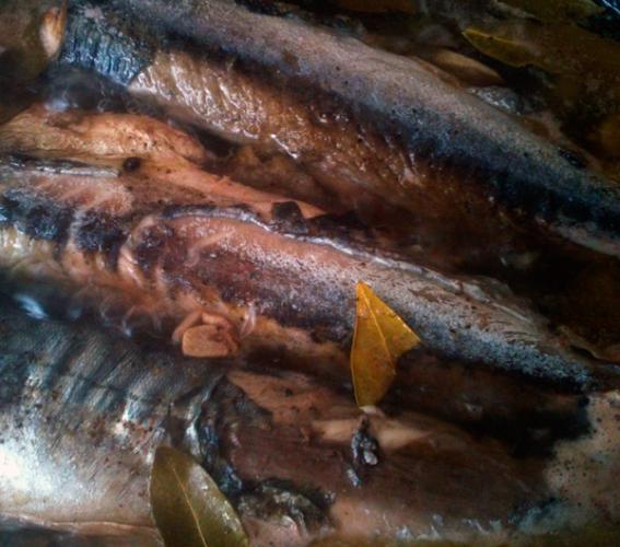 Detalle de caballa en escabeche.