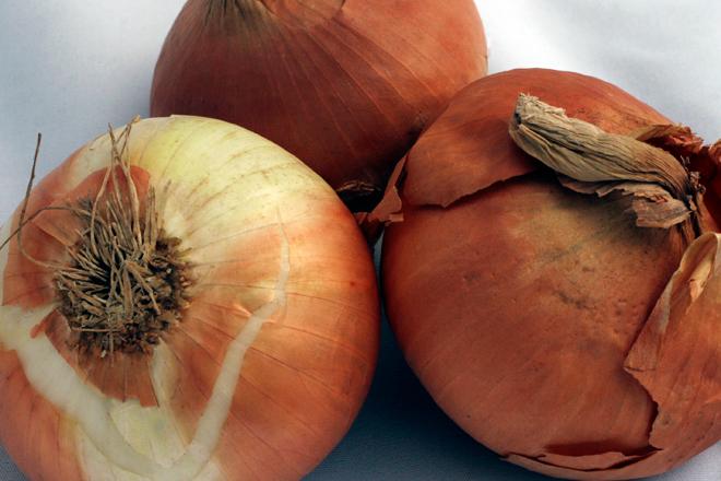 Cebollas.