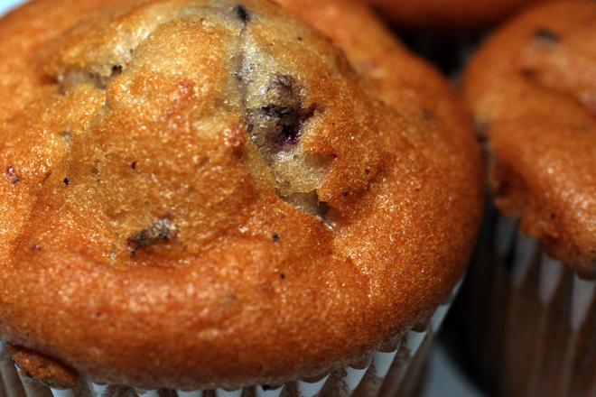 Magdalenas con salvado de avena y arándanos azules.