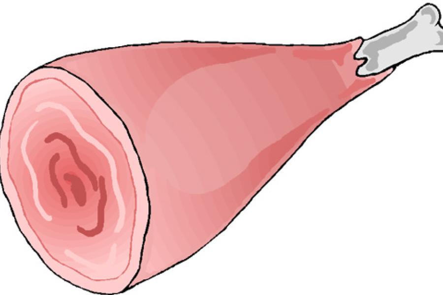 Una pieza de jamón cocido con hueso; dibujo.