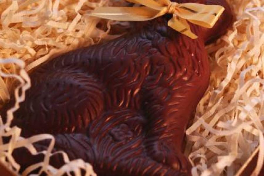 Conejo de chocolate.