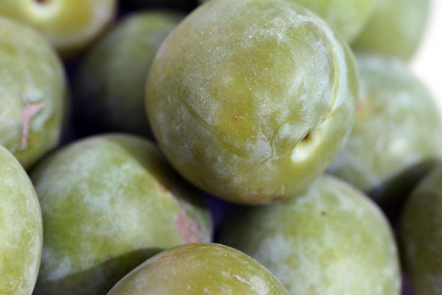 Ciruelas verdes.