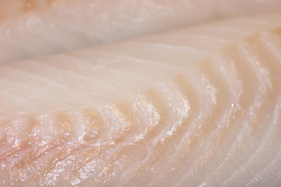 Filete de bacalao crudo.