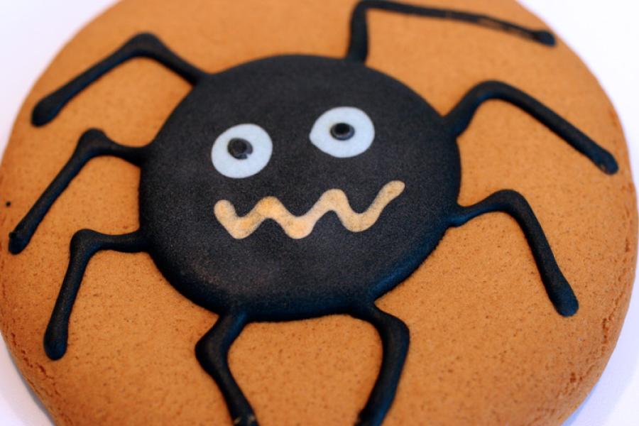Galleta de jengibre decorada con araña de chocolate.