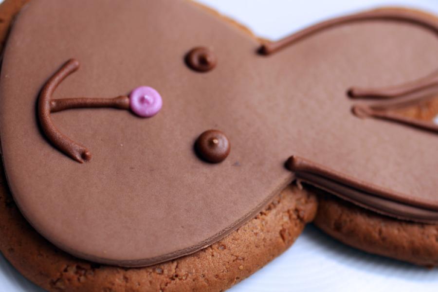 Conejo de jengibre cubierto de chocolate.