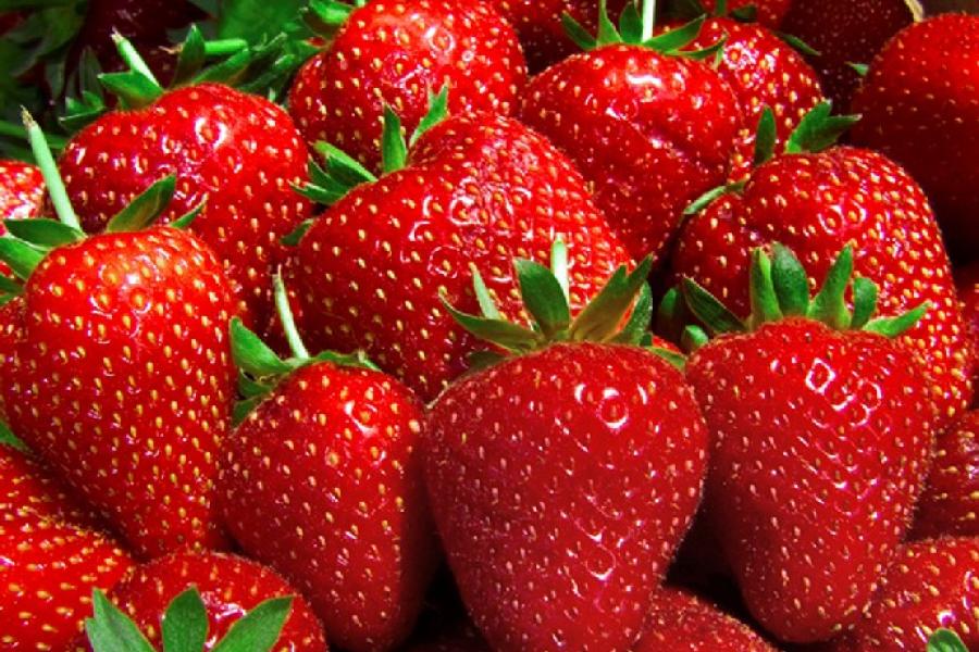 Fresas de Aranjuez.
