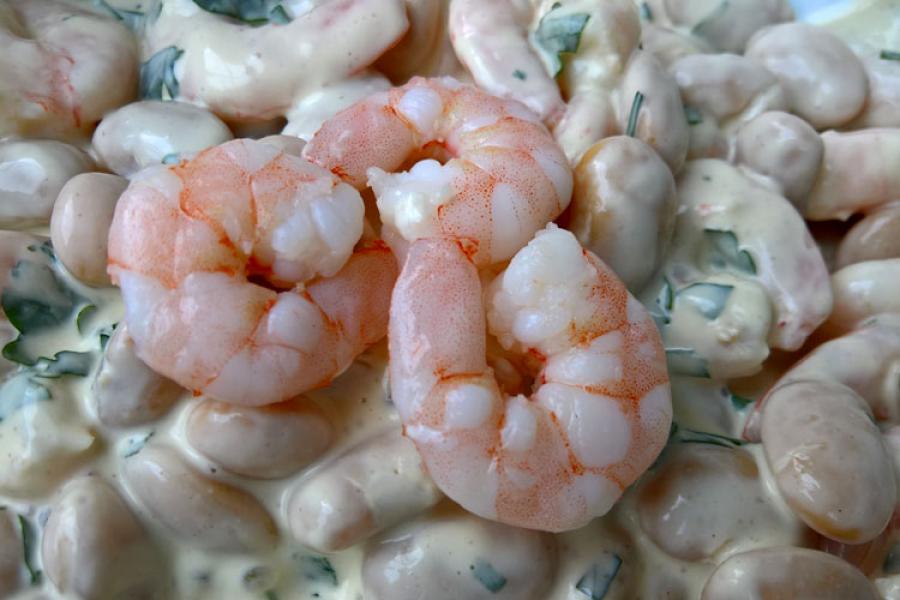 Ensalada de gambas y habas a la crema.