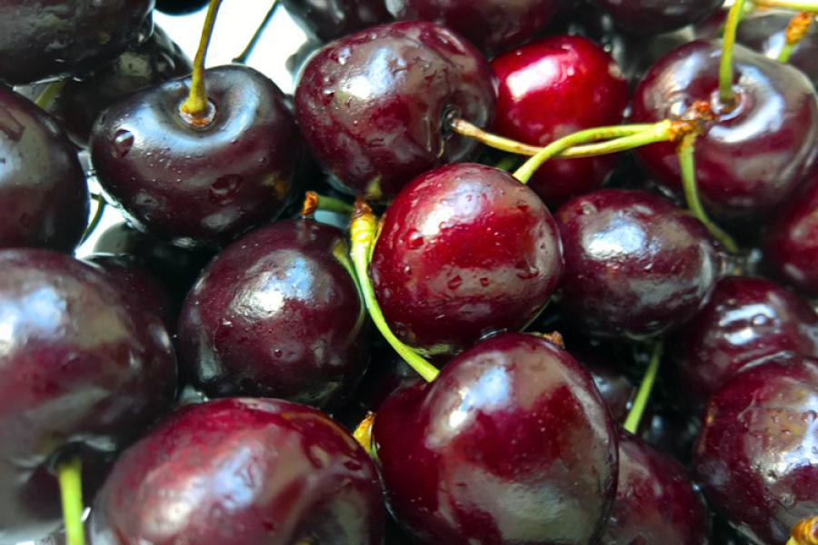 Cerezas recién lavadas, con pedúnculos.