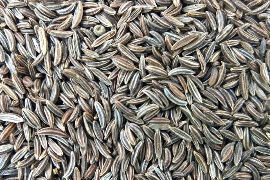 Semillas de alcaravea.