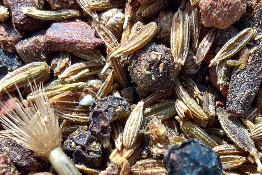 Mezcla de espcias garam masala.