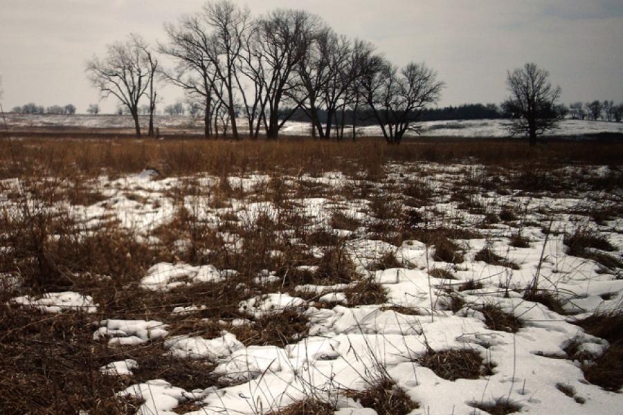 Homestead en Nebraska.