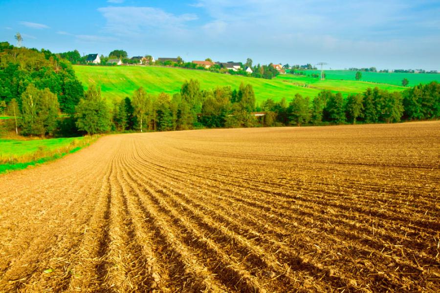 Campo de cultivo, Kansas.
