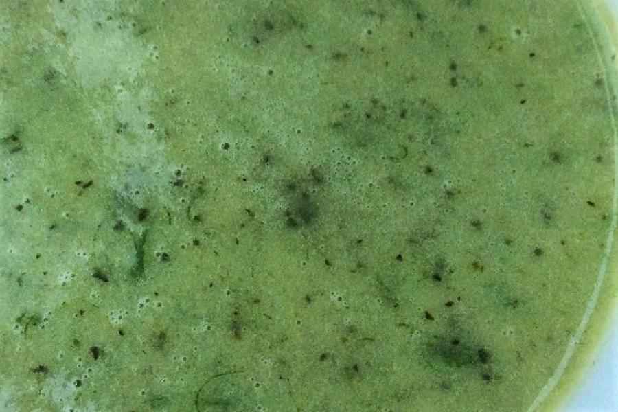 Sopa de calabacín a las hierbas.