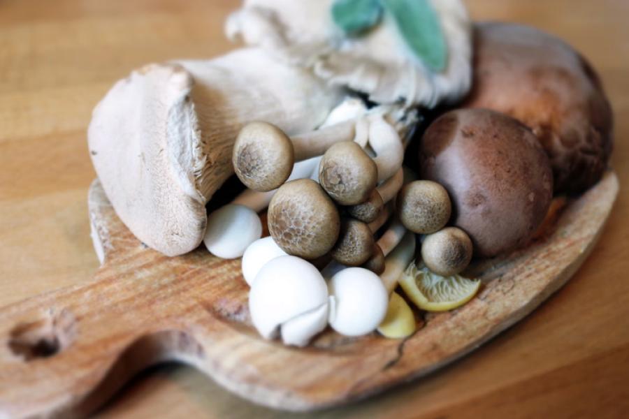 Hongos sobre tabla de cocina.
