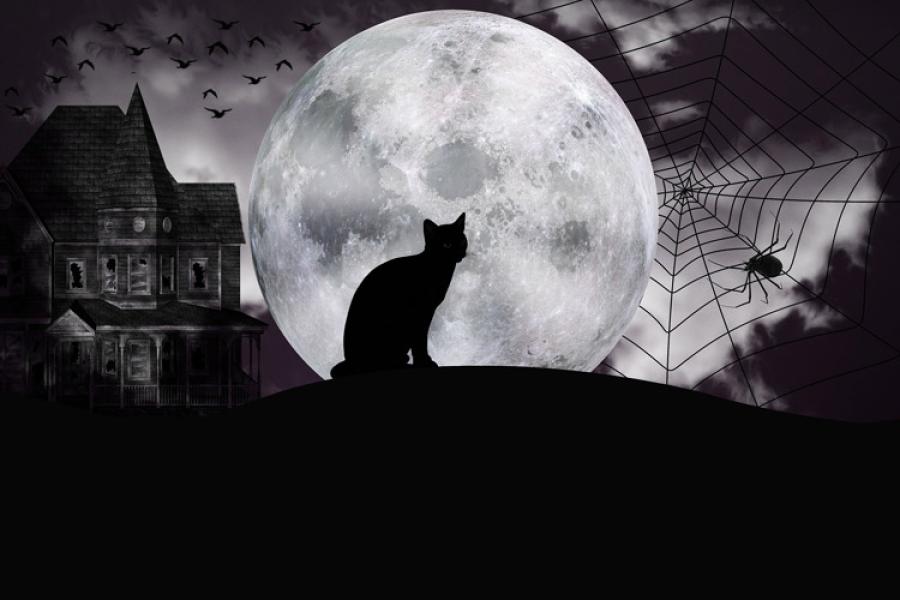 Casa abandonada, gato negro, luna llena y araña, motivos de Halloween.
