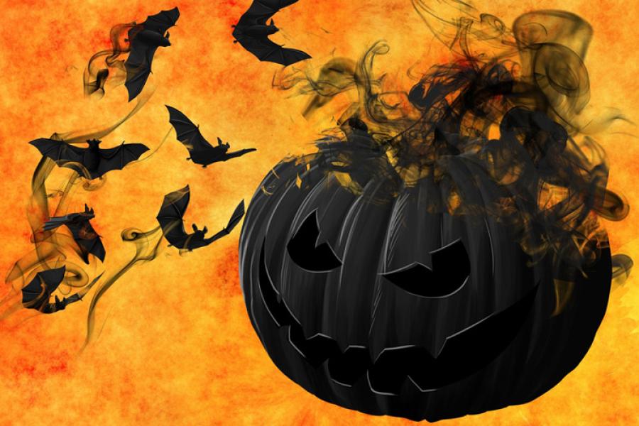 Calabaza y murciélagos negros sobre fondo naranja.