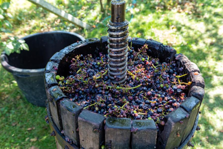 Prensa para uvas.