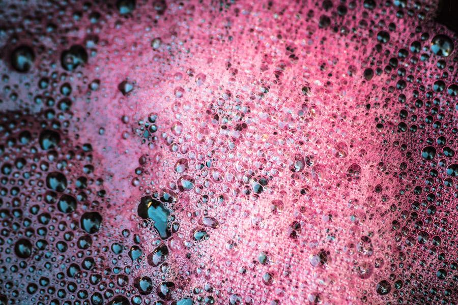 Mosto de uva tinta fermentando. Hay espuma en la superficie.