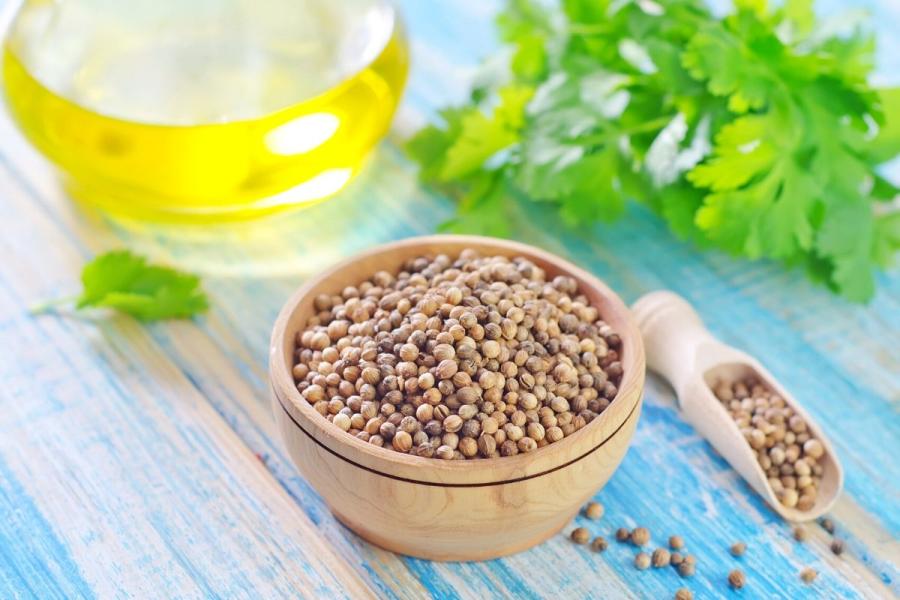 Semillas de cilantro, cilantro fresco y una jarrita de aceite.