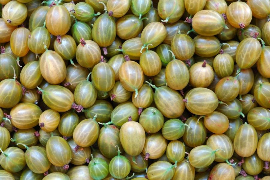 Grosellas blancas en detalle.