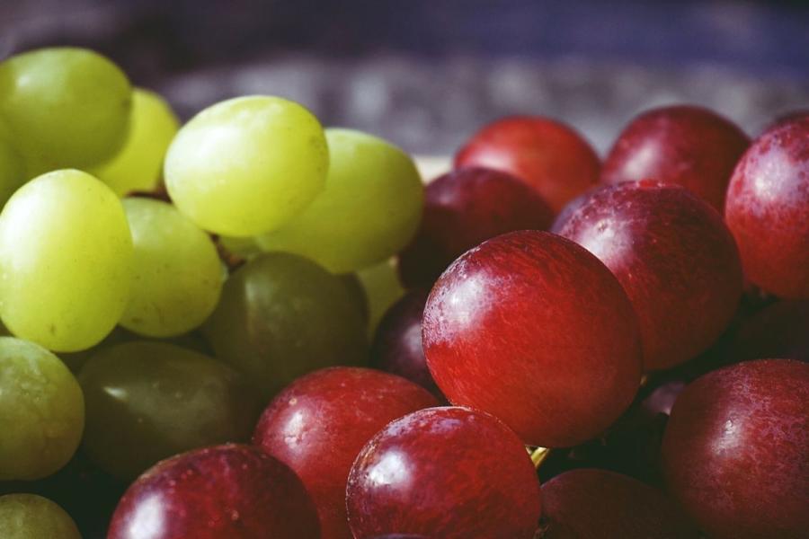 Uvas blancas y uvas tintas en detalle