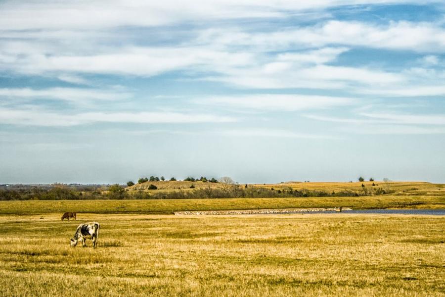 Pisaje de Oklahoma, una región ganadera.