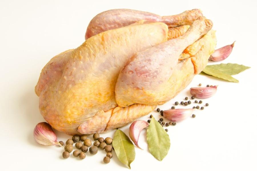 Gallina de Guinea desplumada, limpia y lista para cocinar.