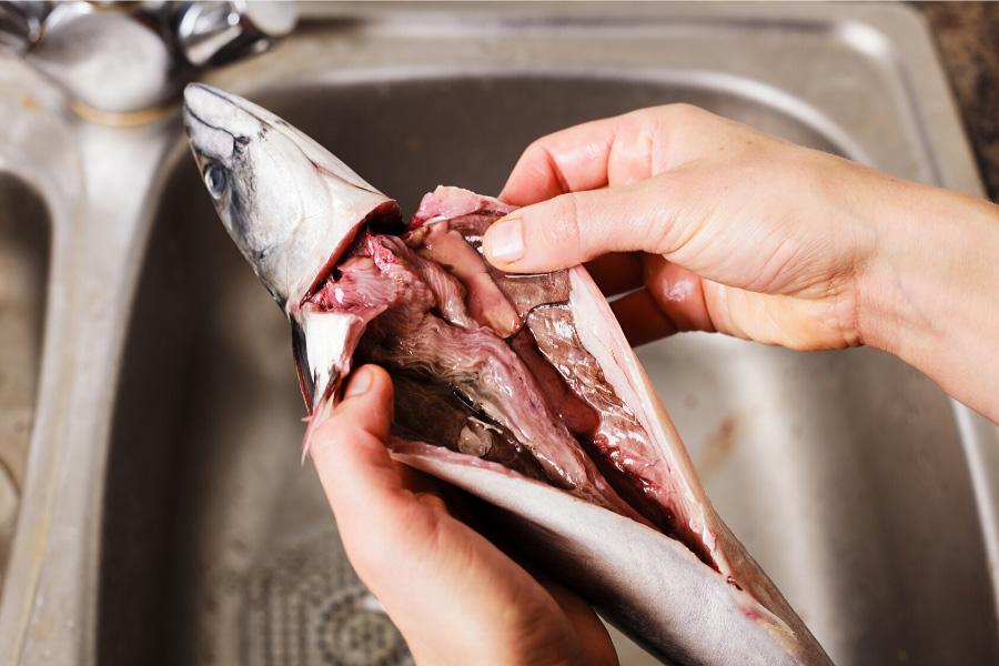 Manos lavando un pescado ya vaciado.