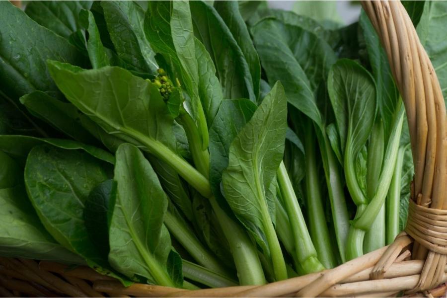 Choi sum en una cesta.