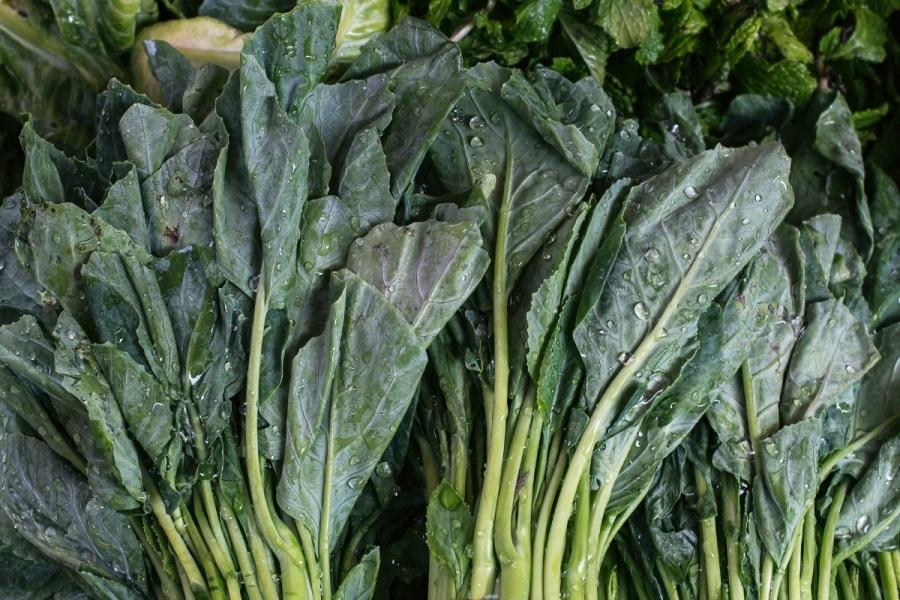 Brócoli chino fresco, lavado.