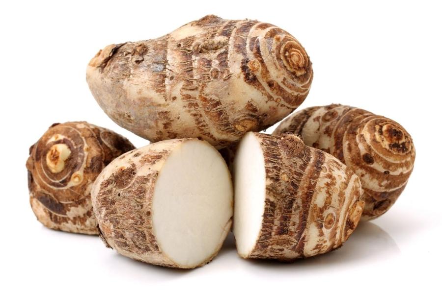 Cormos o tallos suculentos de taro.