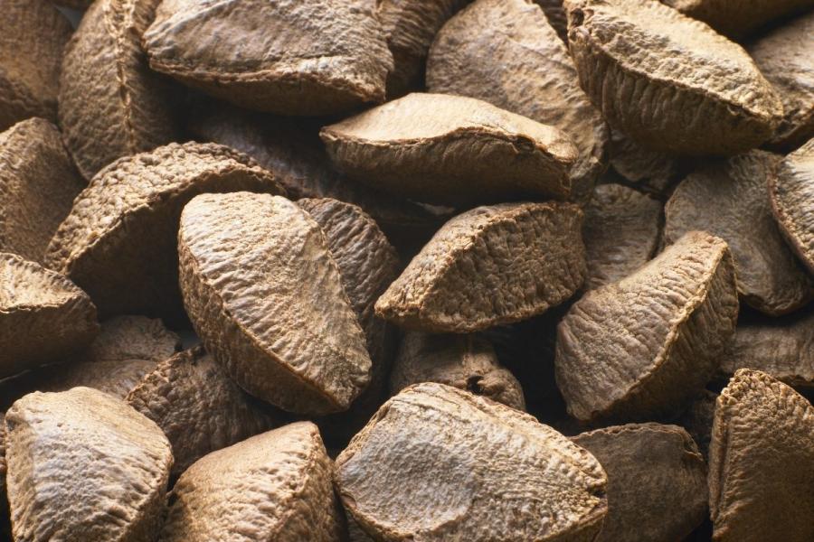 Nueces de Brasil con cascara.