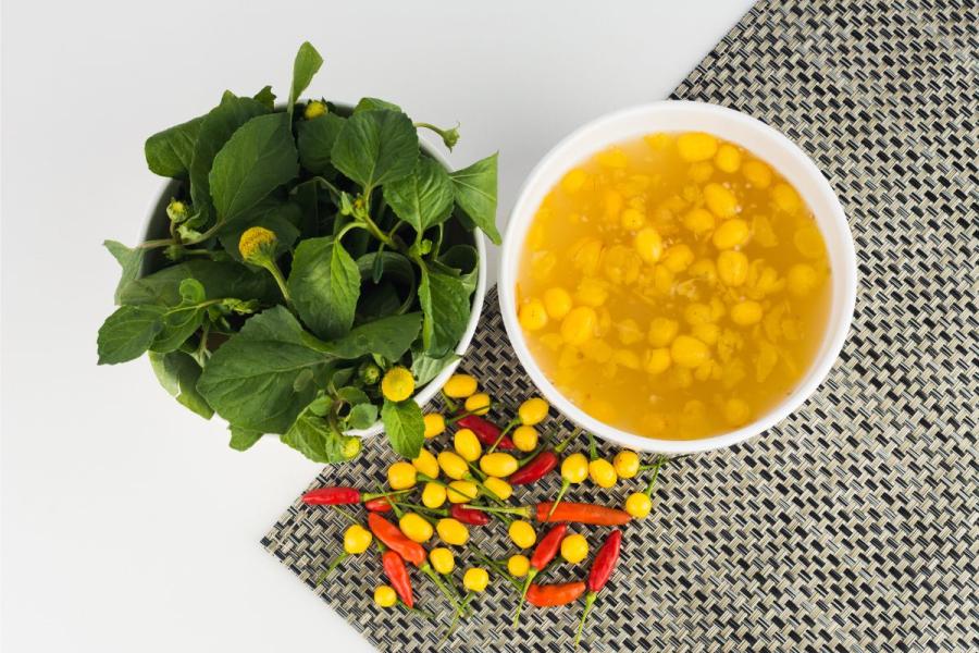 Condimentos del Amazonas, jambu, salsa de pimiento con tucupi y pimientos de colores.